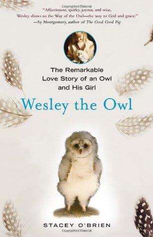 Wesley the Owl: The Remarkable Love Story of an Owl and His Girl